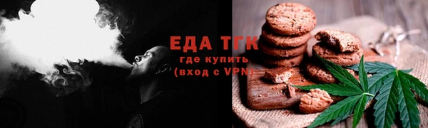 индика Протвино