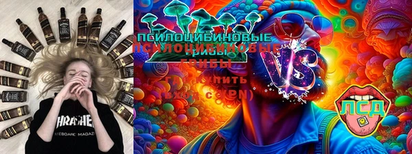 индика Протвино