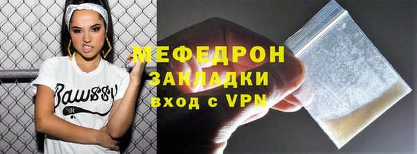 индика Протвино