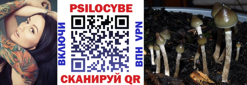 где купить наркоту  Чапаевск  Галлюциногенные грибы Cubensis 